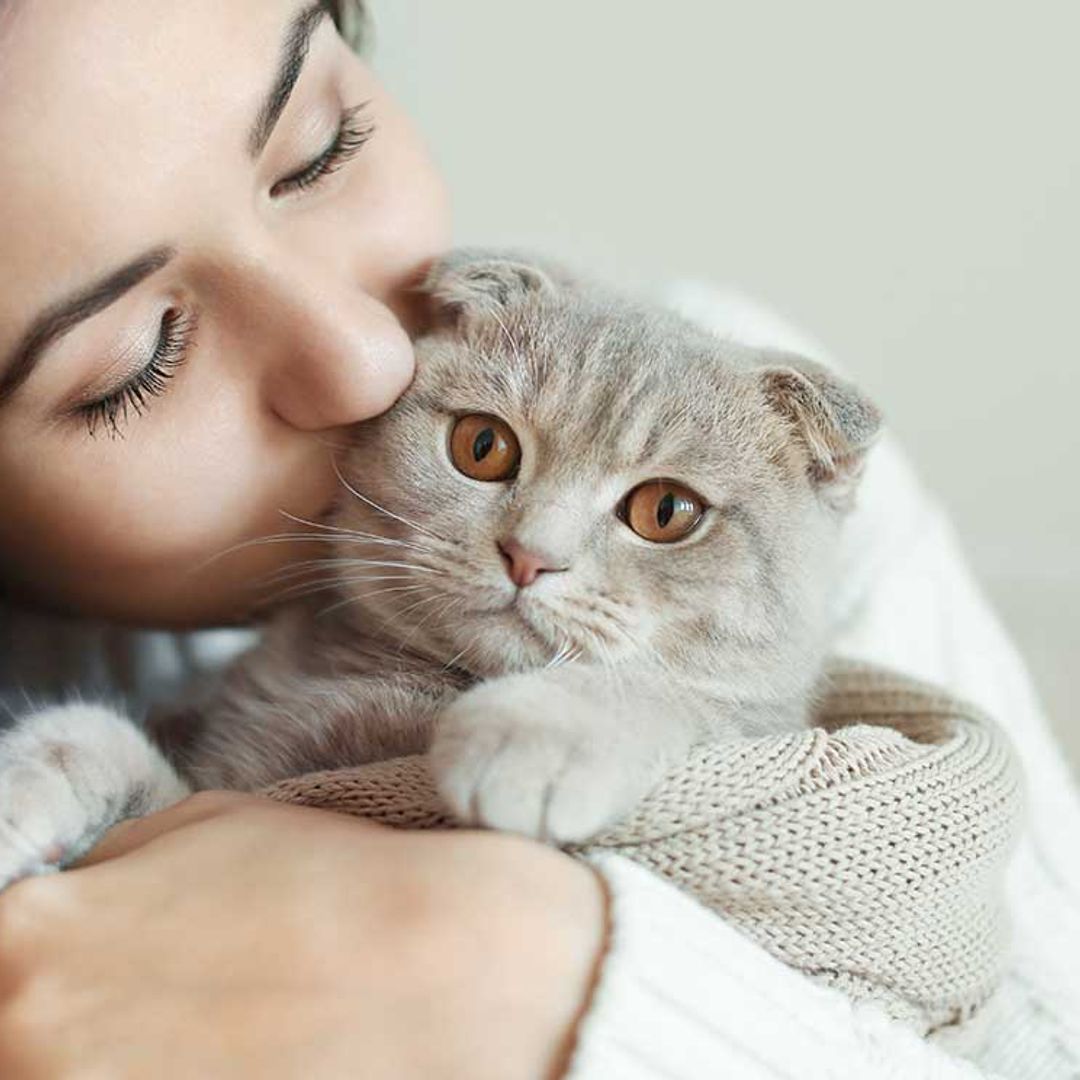 Esta es la relación con tu mascota en función de tu signo zodiacal