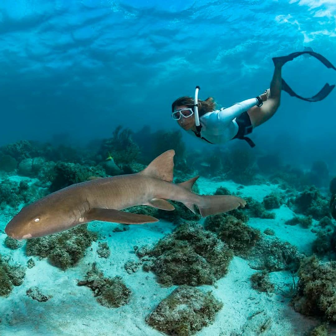 Hablamos con Gádor Muntaner, bióloga española​ y experta en tiburones: 'Cualquier mujer que, como yo, se quiera dedicar al mar que lo haga, no hay que ponerse ningún tipo de límite'