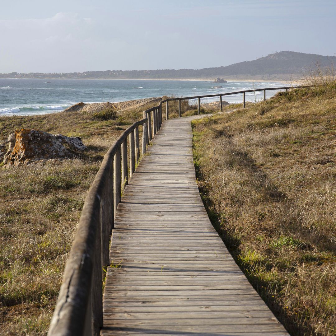 Pasarela de madera en el Parque Natural Complexo Dunar de Corrubedo e Lagoas de Carregal e Vixán, A Coruña