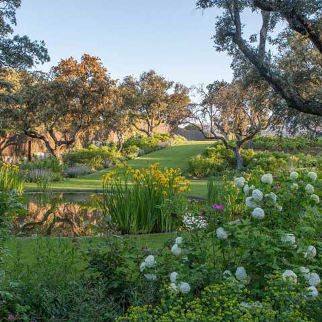 ‘Operación jardín’: cómo ponerlo en forma este verano