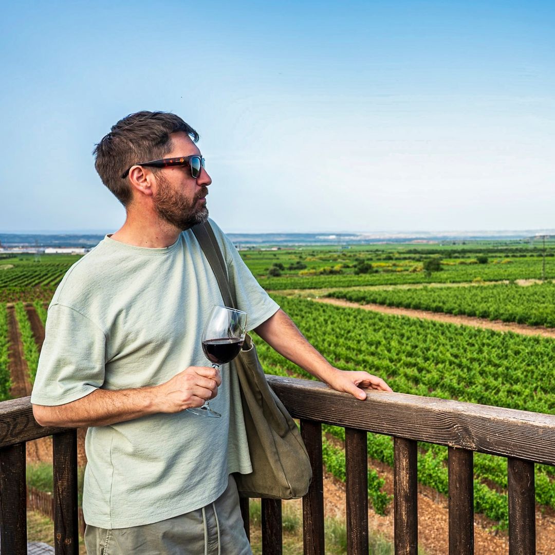Mirador de las viñas en Aldeanueva, La Rioja