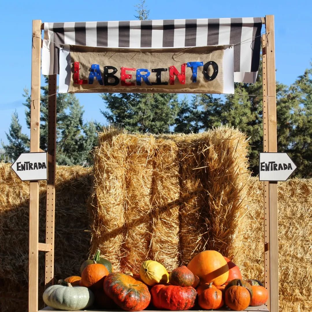 Laberinto de calabazas taller familiar finca monjarama