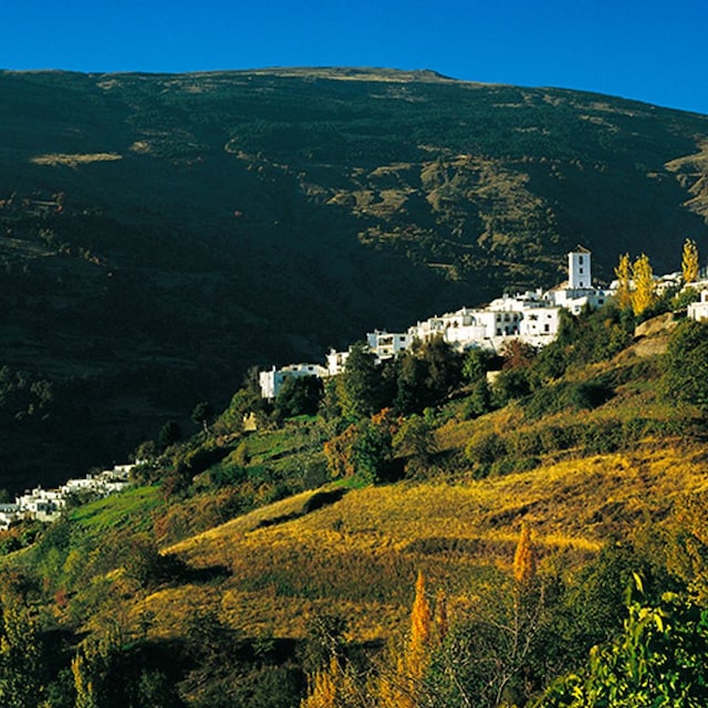 granada