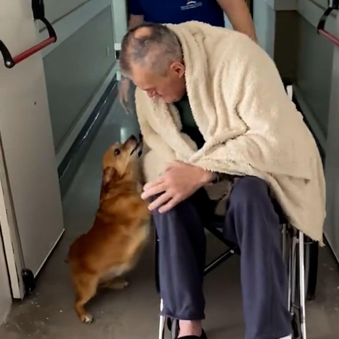 El emocionante reencuentro de un hombre con su perrito tras más de dos meses ingresado en un hospital