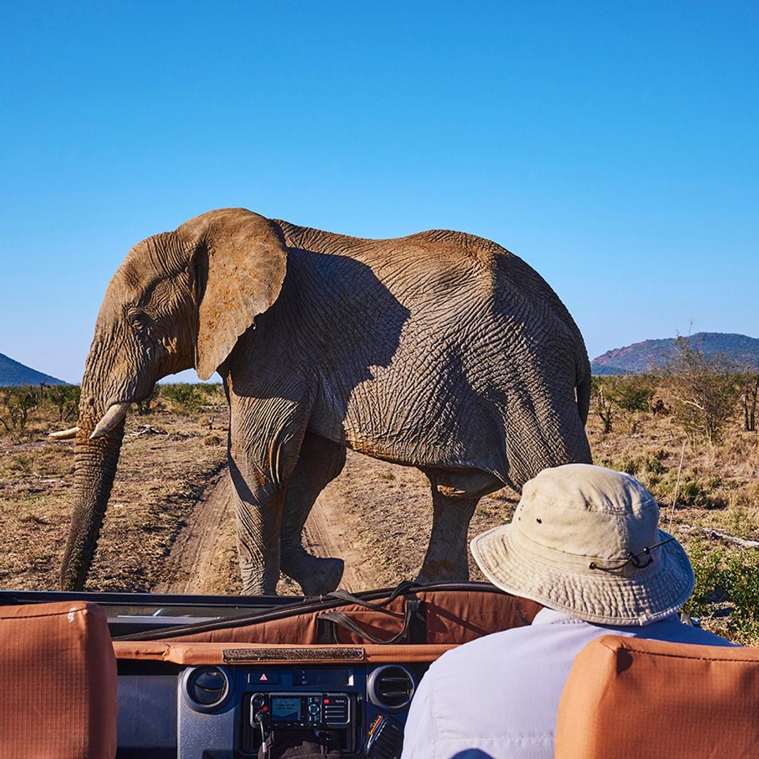 Reserva Natural de Madikwe, Sudáfrica