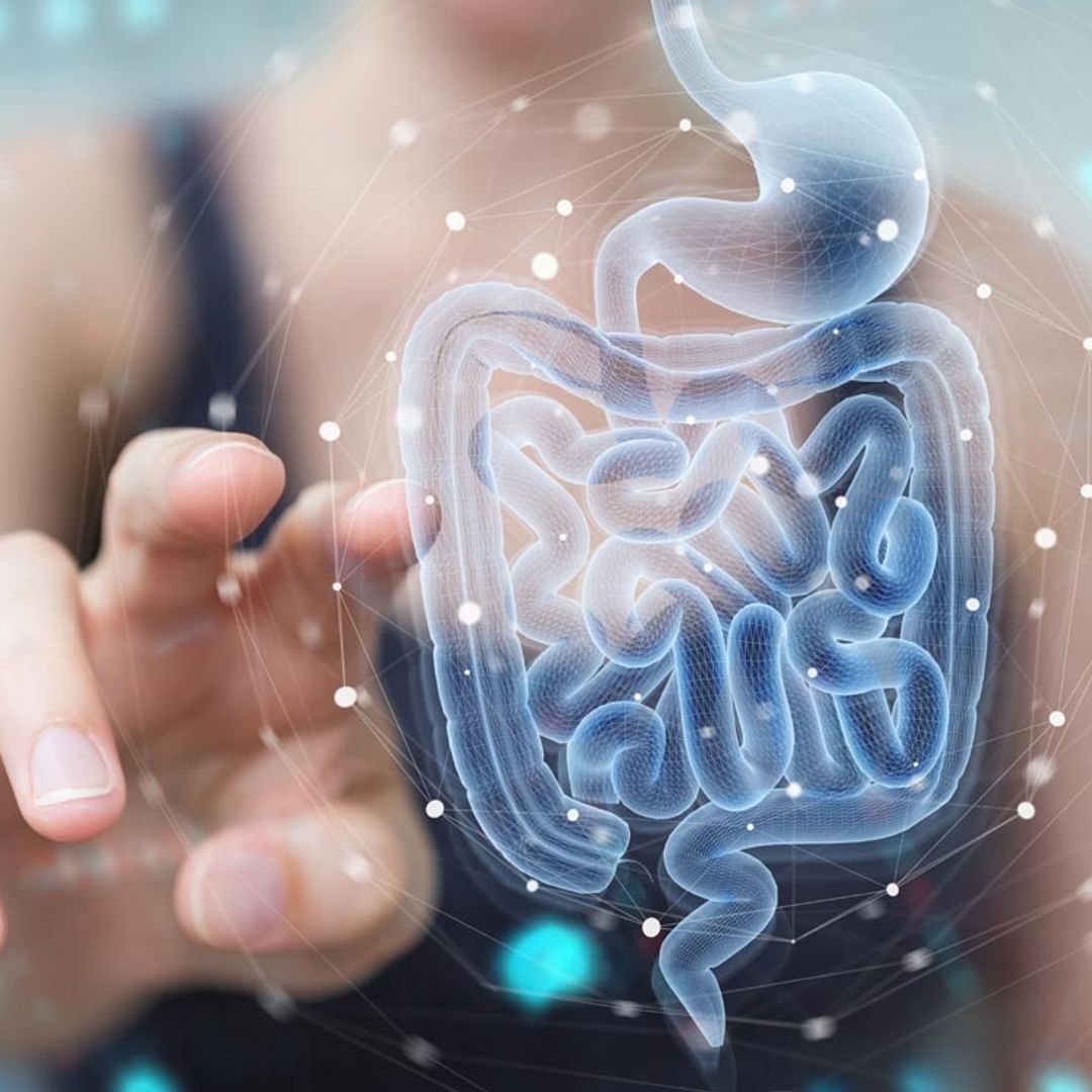 ¿Qué relación hay entre la alteración de la microbiota intestinal y la COVID persistente?