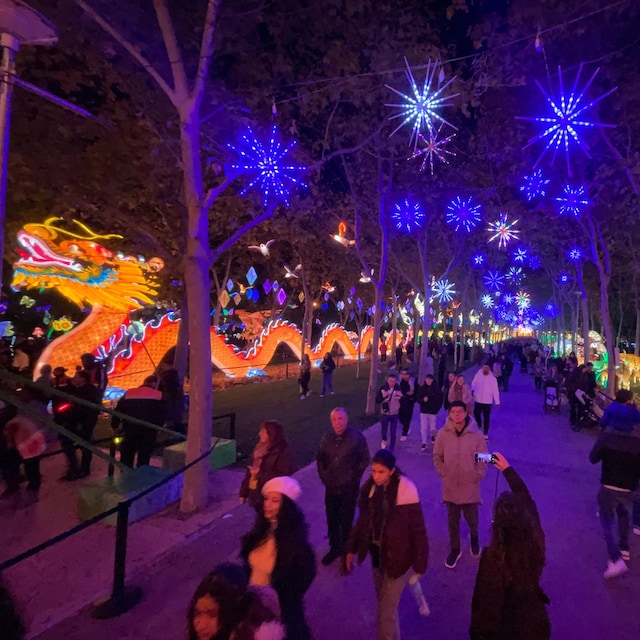 Mágicas Navidades Torrejón de Ardoz