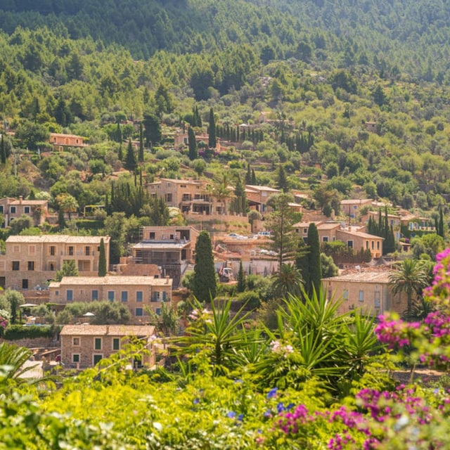 vista deia