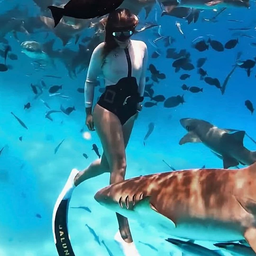 La oceanógrafa y amante de los tiburones, Gádor Muntaner, buceando junto a los animales que tanto ama y protege