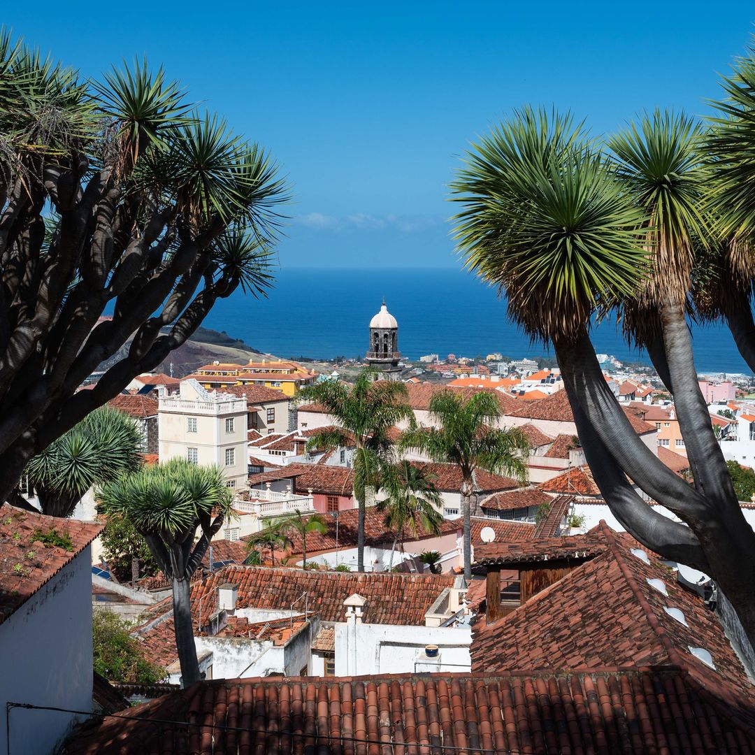 La ruta definitiva para comer en los guachinches de Tenerife, entre viñedos, recetas centenarias y vino de cosecha