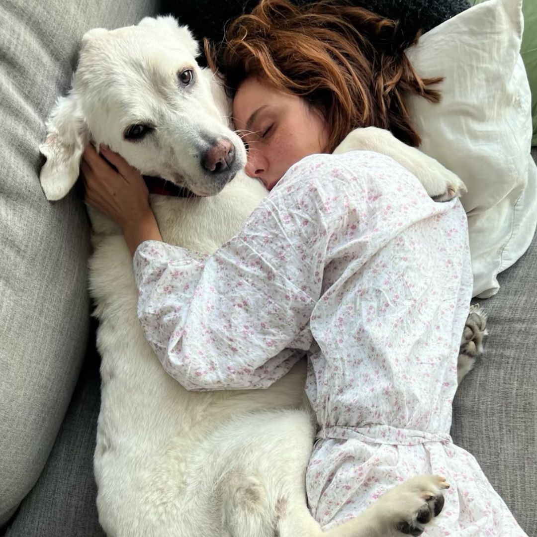 Natalia Téllez se despide de su amado perrito Güero con un emotivo mensaje: ‘Gracias por elegirme’