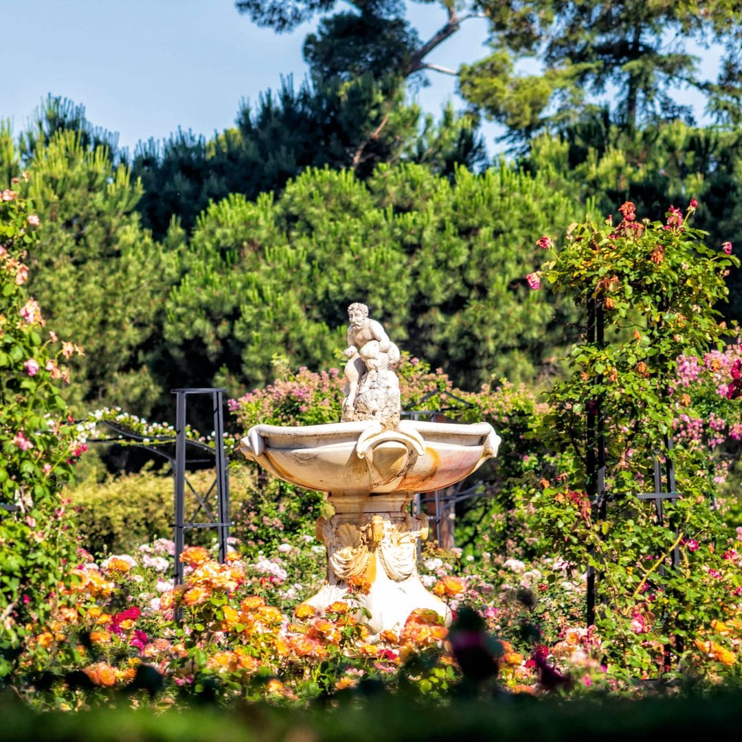 La Rosaleda del parque El Retiro en Madrid