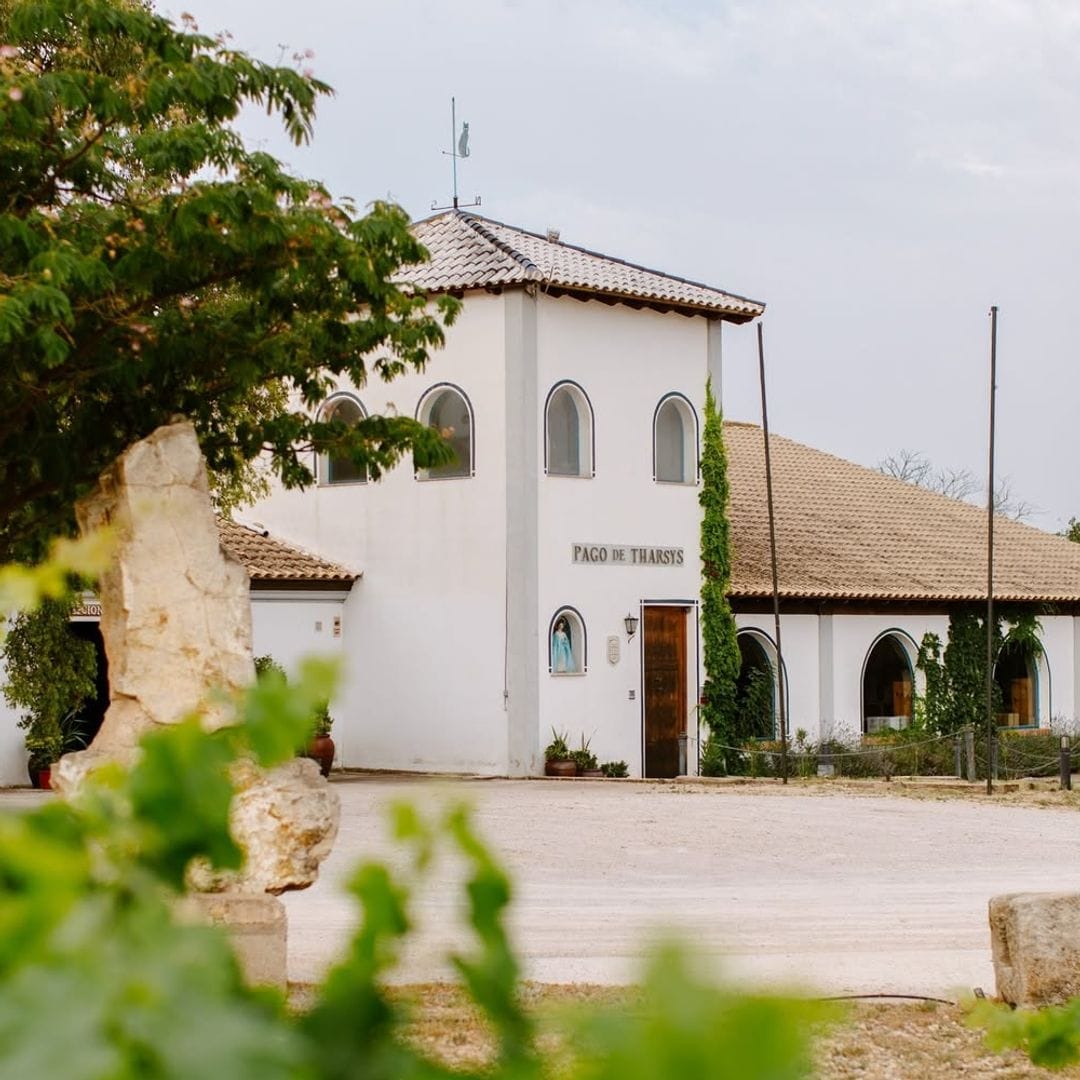 Bodega Pago de Tharsys, Requena, Valencia