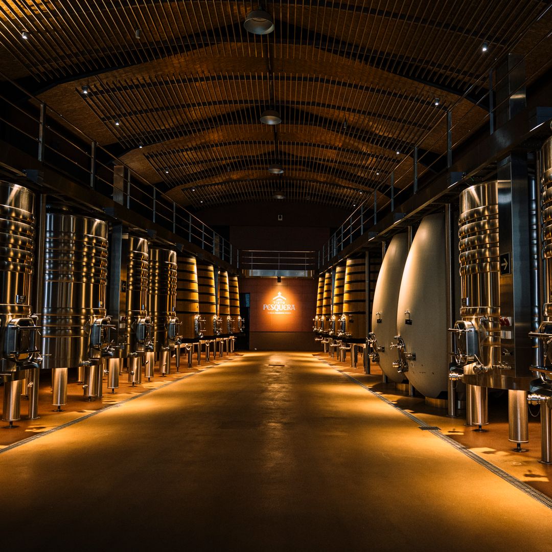 Bodega de Tinto Pesquera, Peñafiel, Valladolid