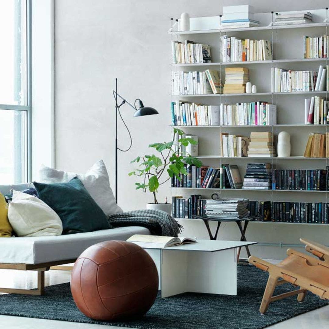 10 trucos para mantener limpios y organizados tus libros y estanterías