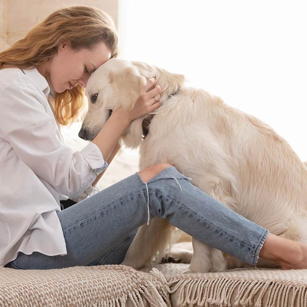¿Podemos saber cuánto tiempo tardaría tu perro en olvidarte?