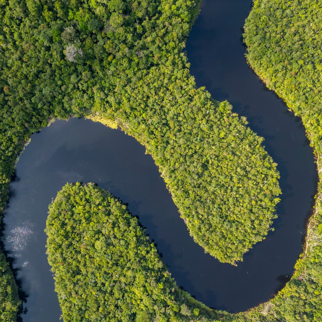 Selva amazónica, Brasil
