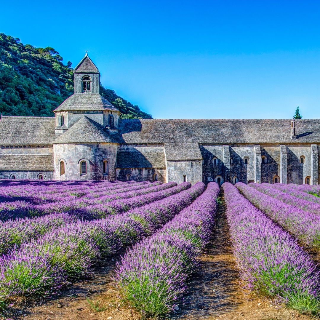 Abadía de Sénanque, Provenza, Francia 