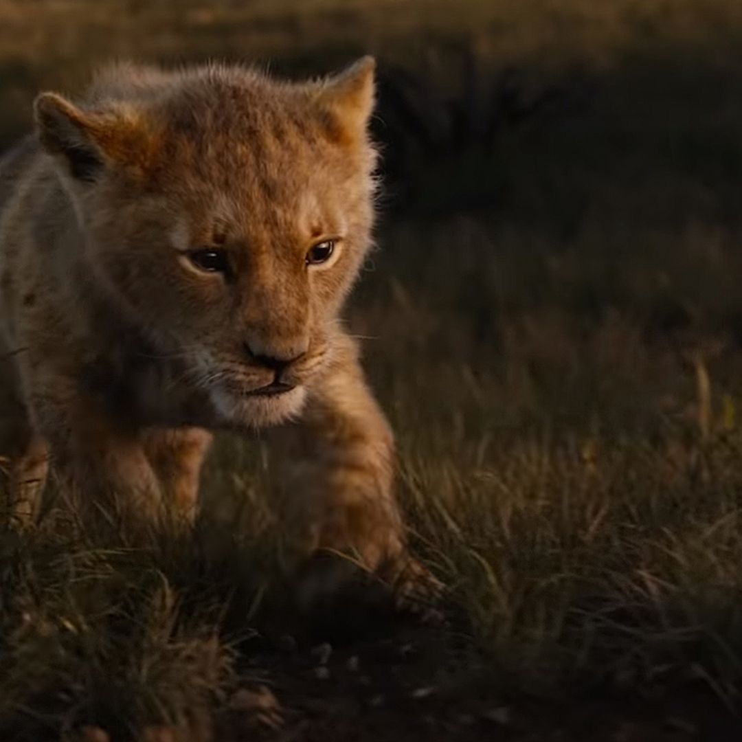 El primer tráiler de 'El Rey León' te dejará con la boca abierta y lágrimas en los ojos