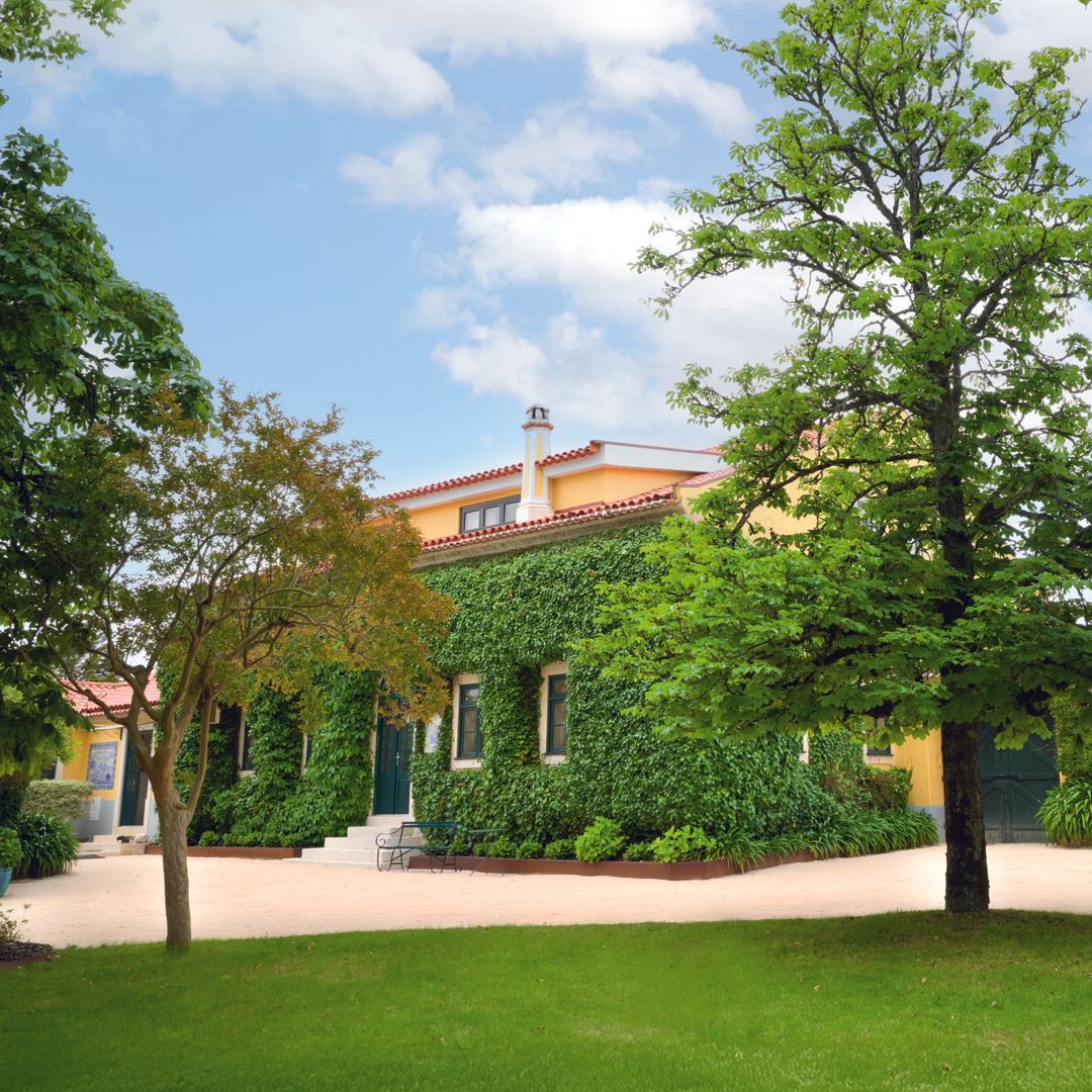 Plano general de la finca