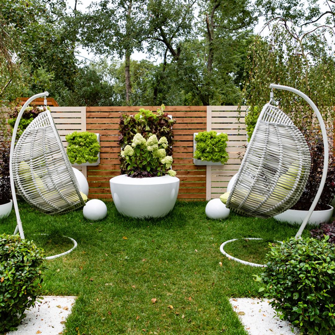 'DECO-SUPERVIVENCIA': las plantas que debes elegir para tener un jardín con menos plagas y más resistente