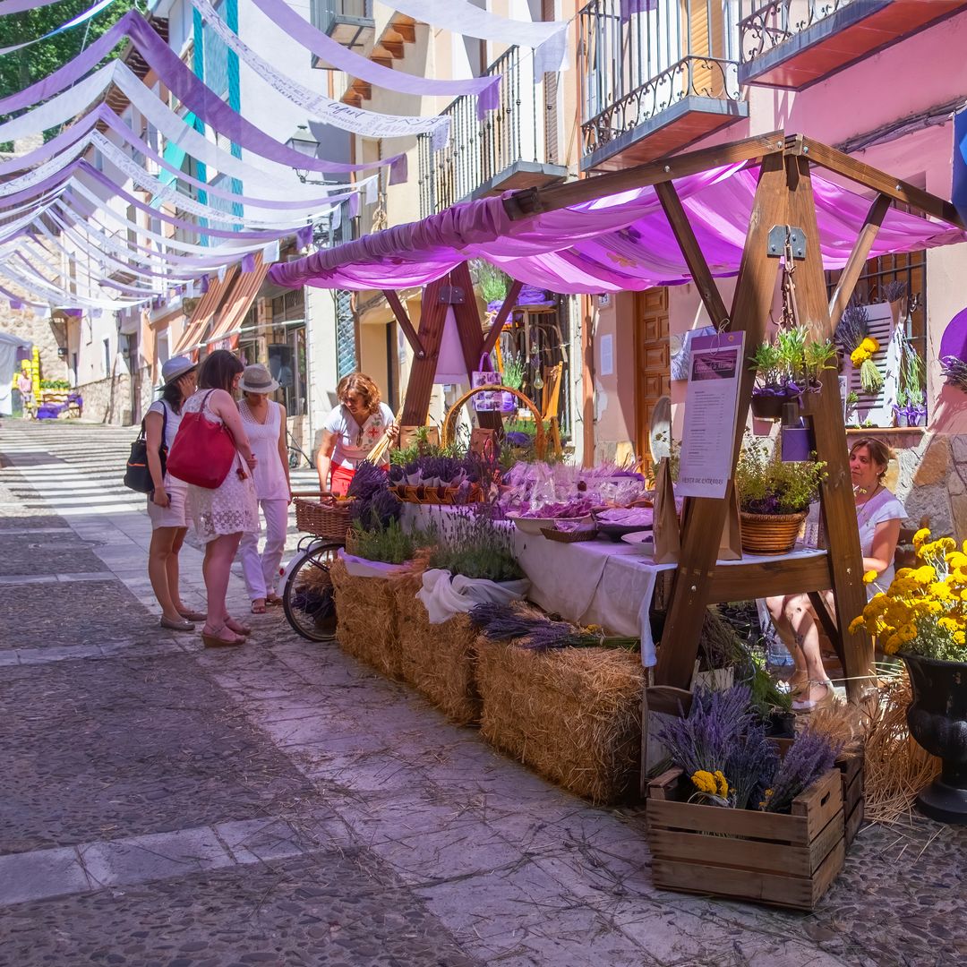 Mercado de la Lavanda, floración, Brihuega, Guadalajara