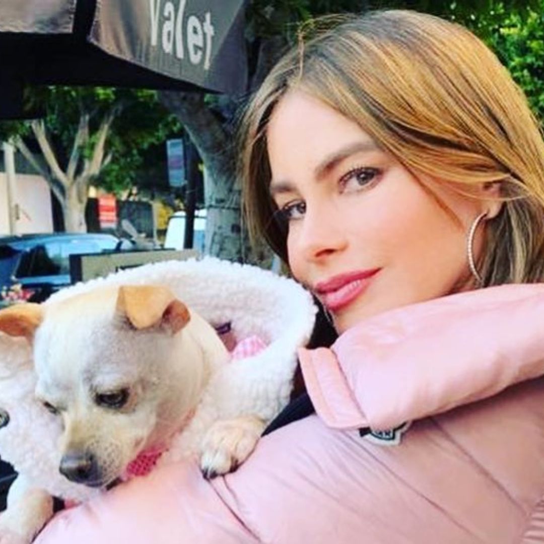 Sofía Vergara presume la gran vida de Baguette, su linda perrita