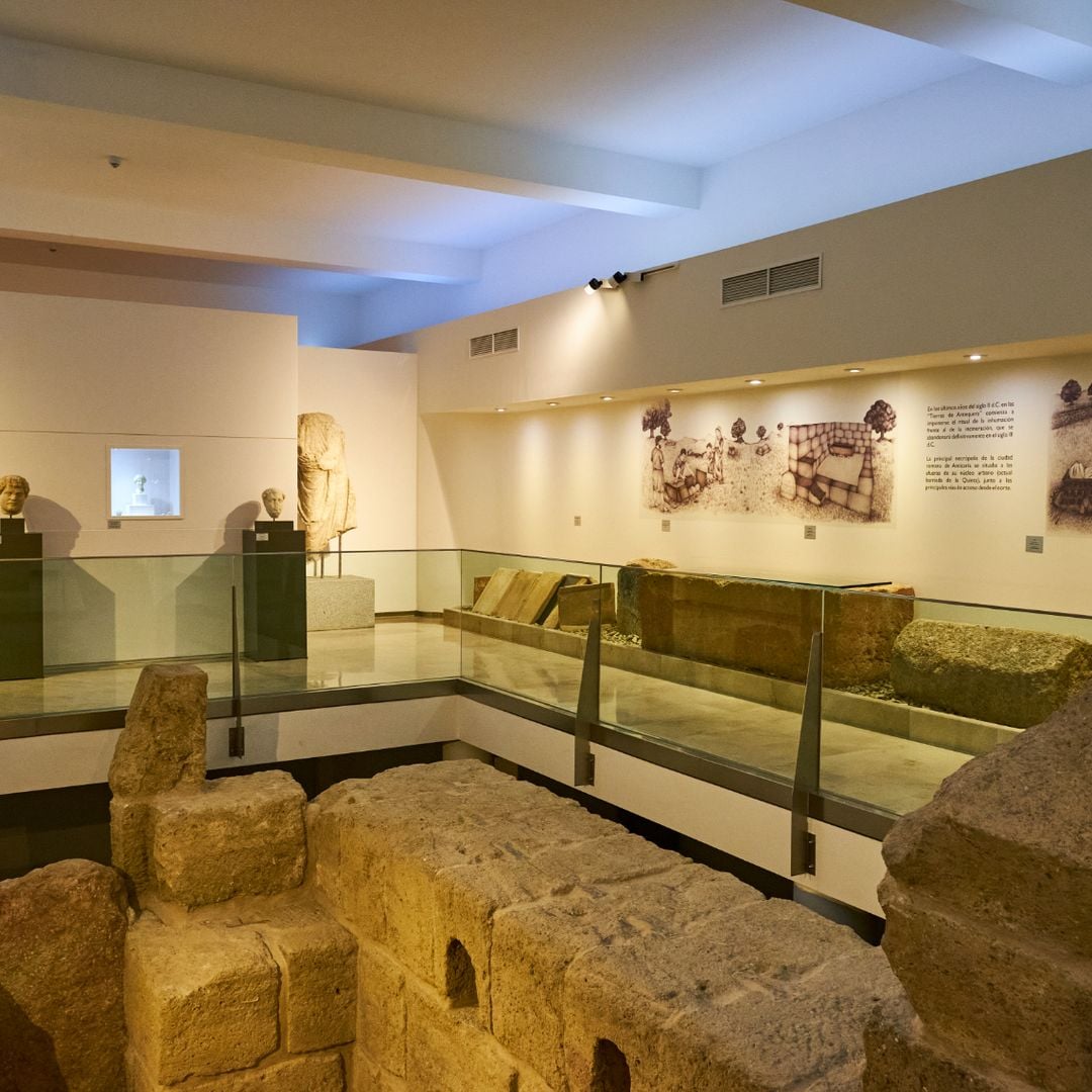 Salas del MVCA de Antequera