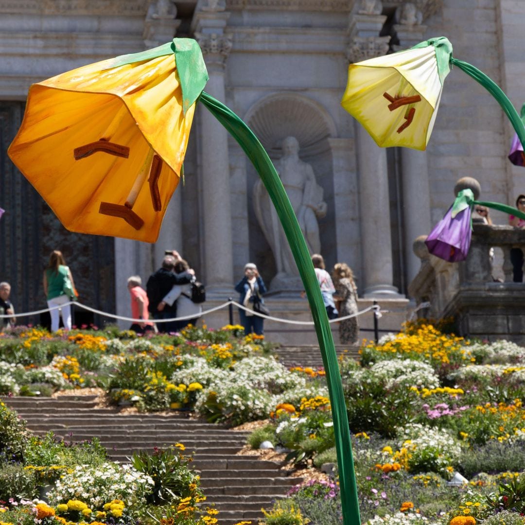 Temps de Flors 2025: el festival de flores que llena Girona de aroma y color