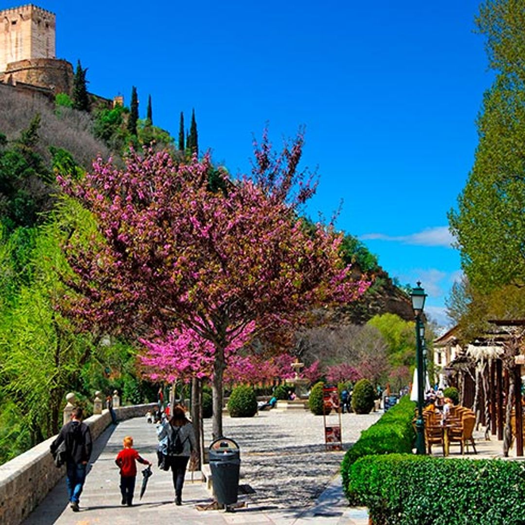 25 experiencias en el Albaicín para celebrar 25 años como Patrimonio de la Unesco