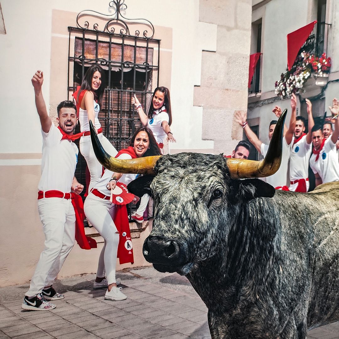 Toro de Victorino disecado y foto de los Sanjuanes, Museo de la Cárcel, Coria, Cáceres 