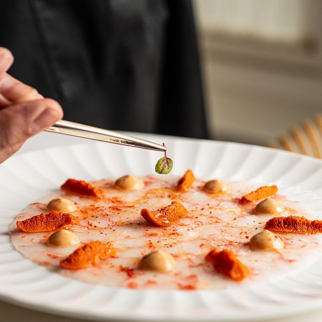 Club Metrópolis, la apertura más esperada en la capital: un club privado, hotel boutique y espacio gastronómico que sitúa Madrid al nivel de las grandes capitales europeas