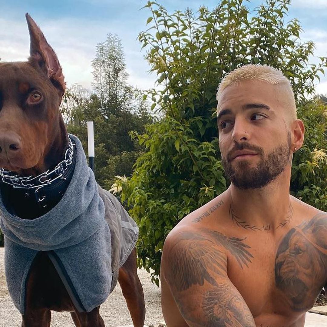 Maluma sufre ataque de su perro y quedó con heridas en la cara: ‘Hay que tener mucho cuidado’