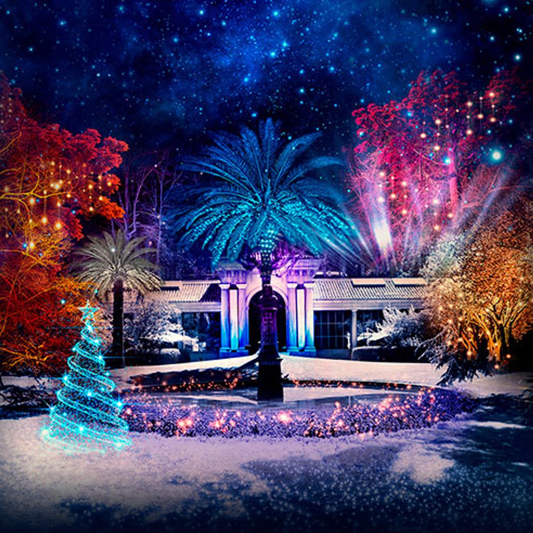 La Navidad se cuela en el Jardín Botánico de Madrid