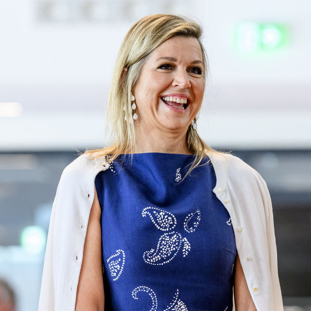 Máxima de Holanda recicla el vestido con estampado pintado a mano que lleva una vez al año desde 2022