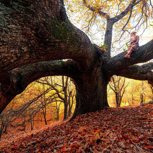 bosque malaga otono gettyimages 1565648831