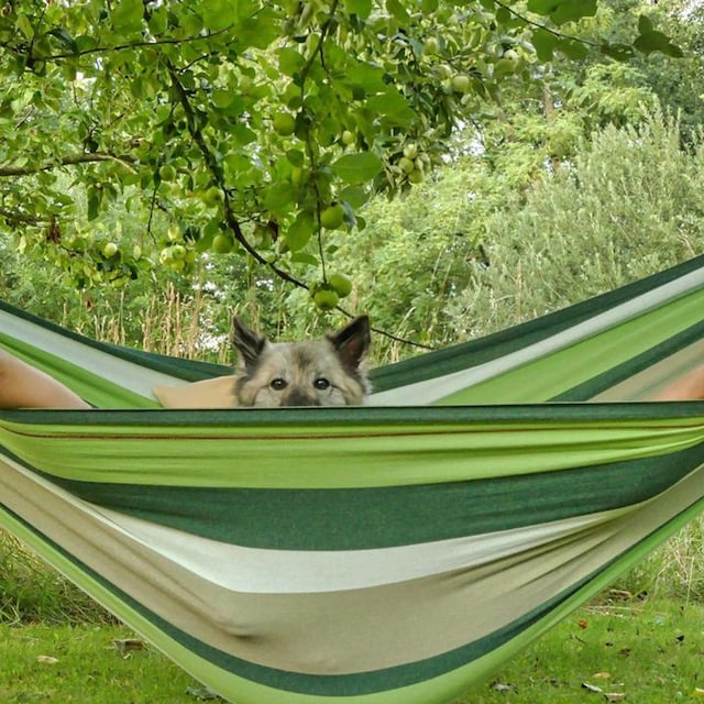 even a werewolf needs to relax sometimes 