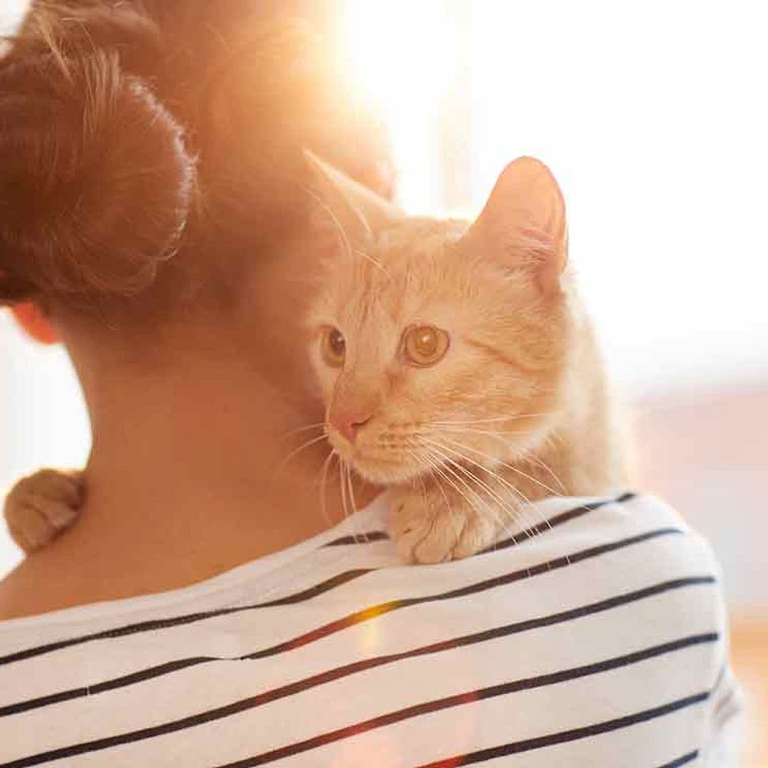 Estas son las 5 posibles relaciones con tu gato