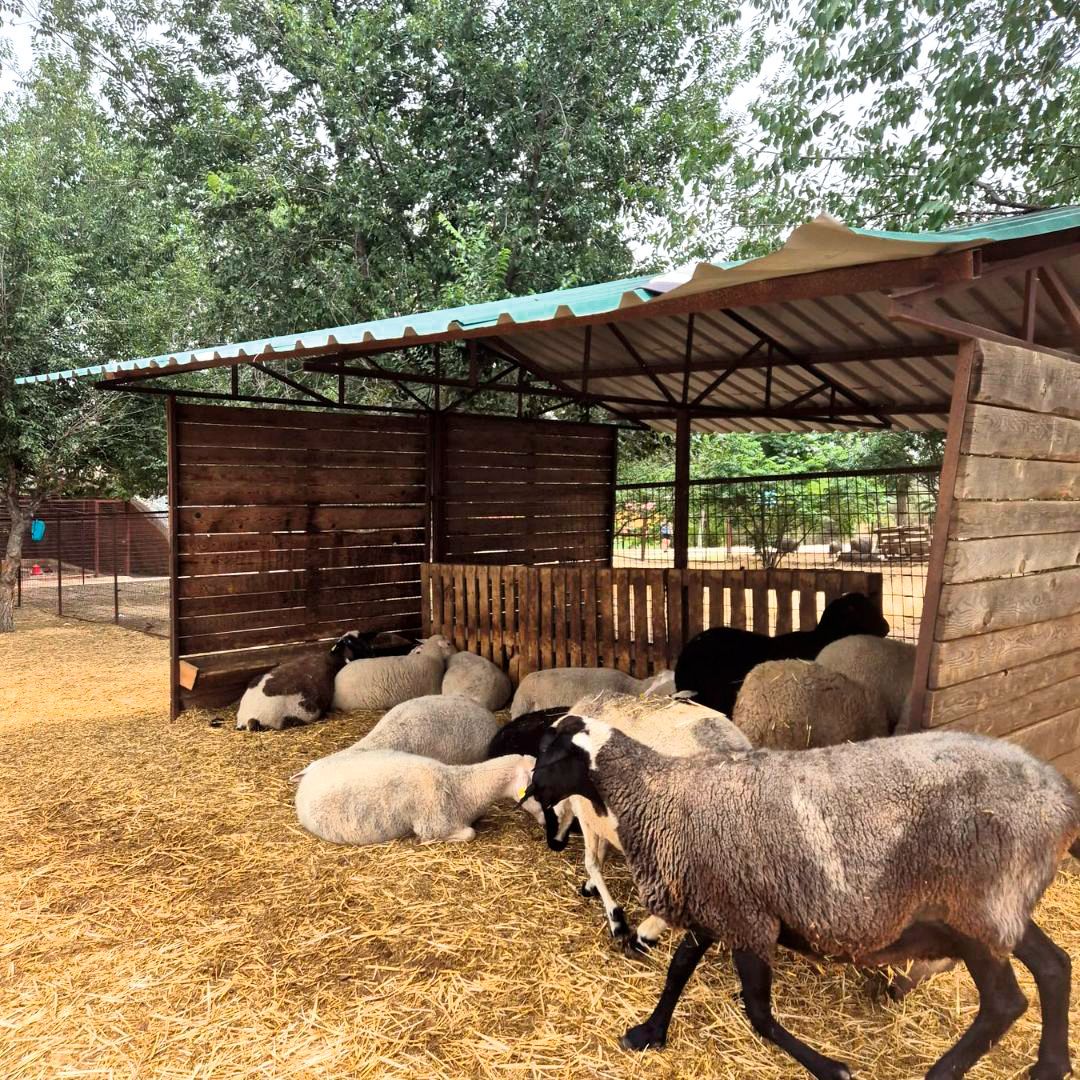 Granja Giraluna,