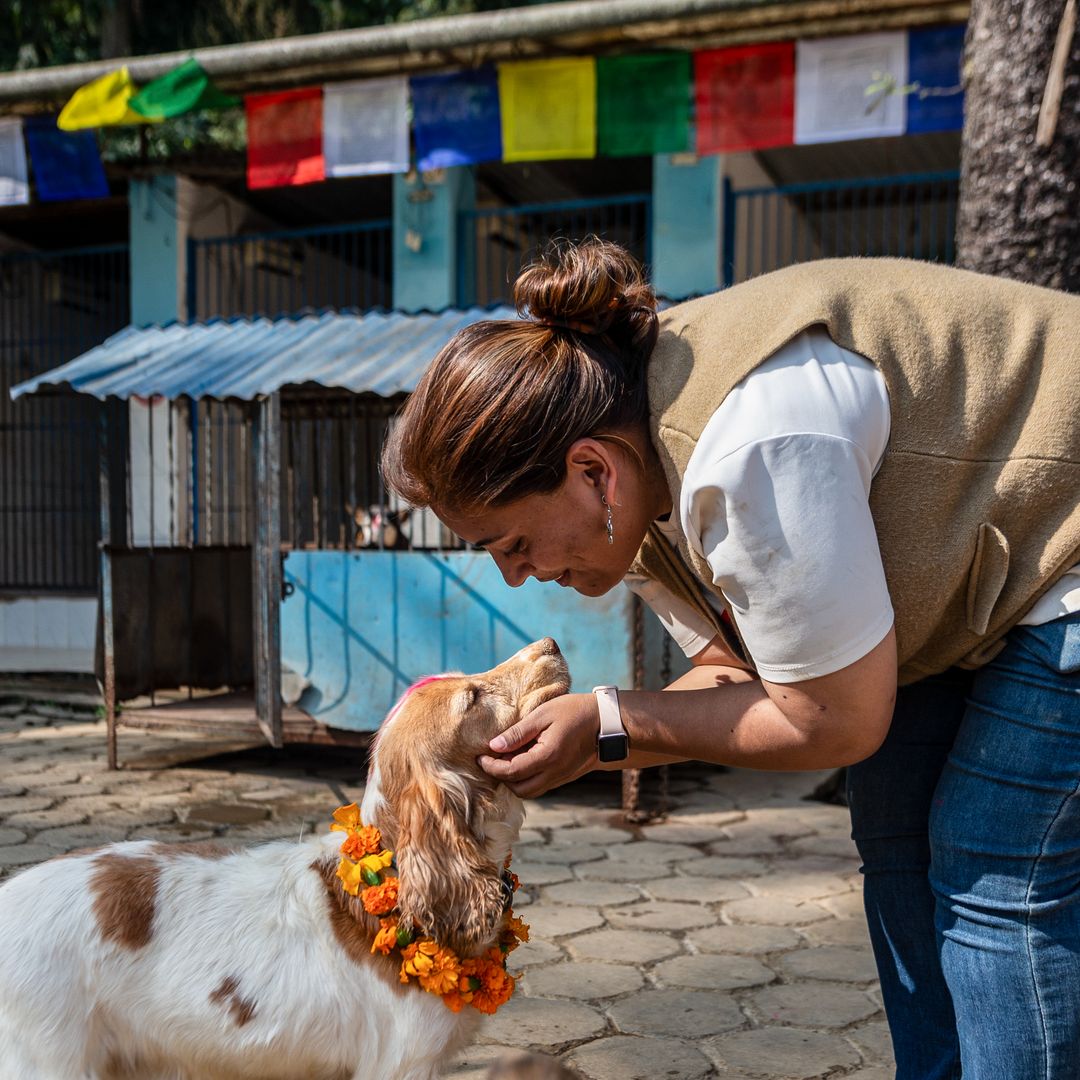 ¿Eres de los que acarician a todos los perros? Este rasgo podría revelar algo importante de ti