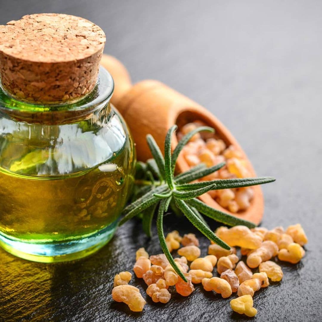 ¿Sabes cómo aprovechar las propiedades beneficiosas de la boswellia?