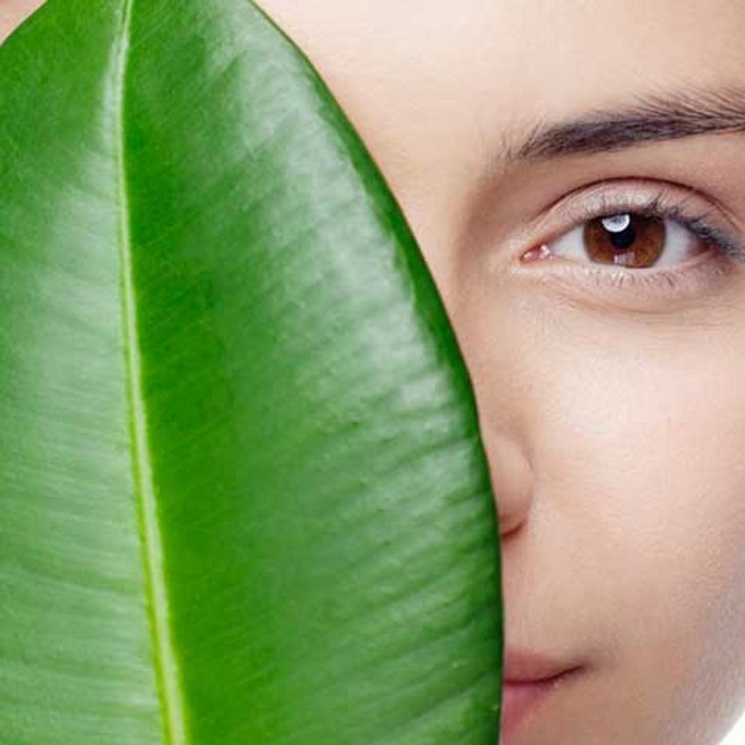 Cosmética vegana: la tendencia a la que no debes perder la pista