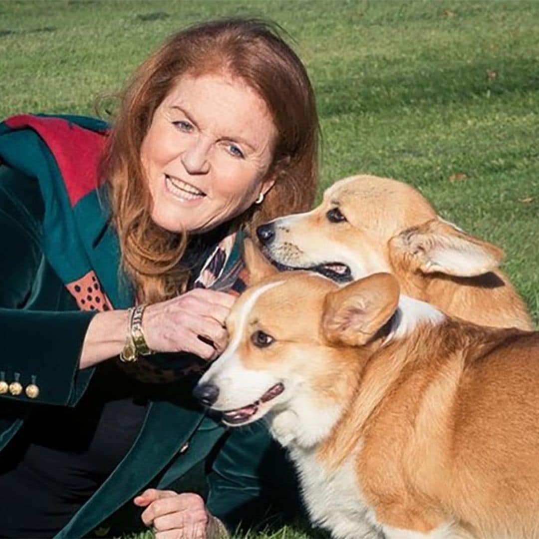 Sarah Ferguson muestra por primera vez a los corgis de Isabel II desde su último adiós