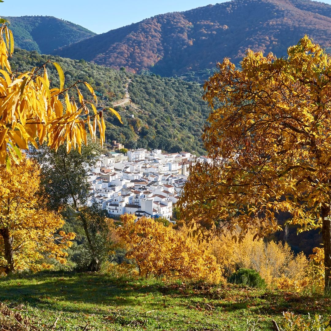 La ruta de Málaga que conecta tres pueblos que enamoran con su herencia andalusí, sus bosques otoñales y sus miradores de cuento