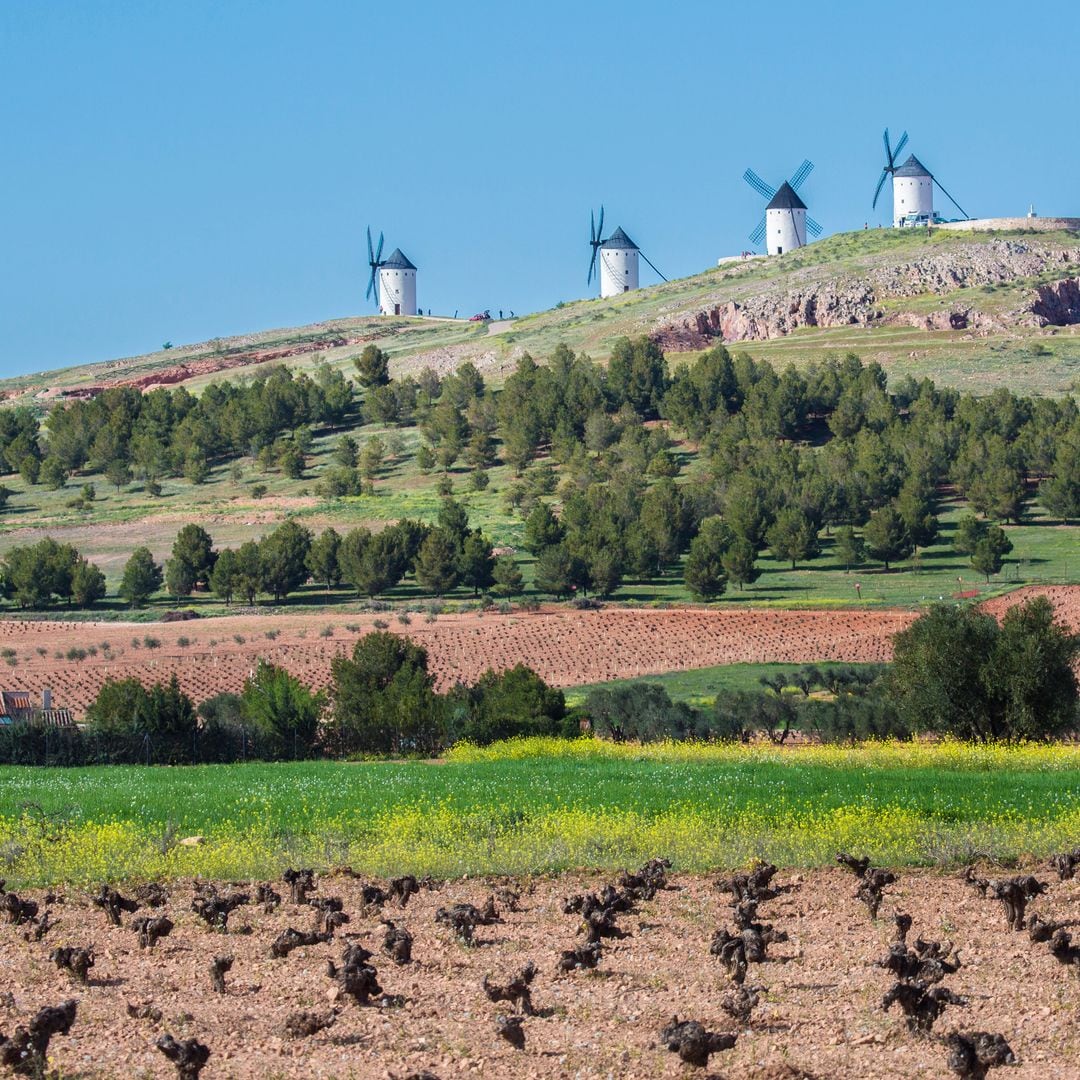 Viñedos y molinos de Campo de Criptana, Ciudad Real