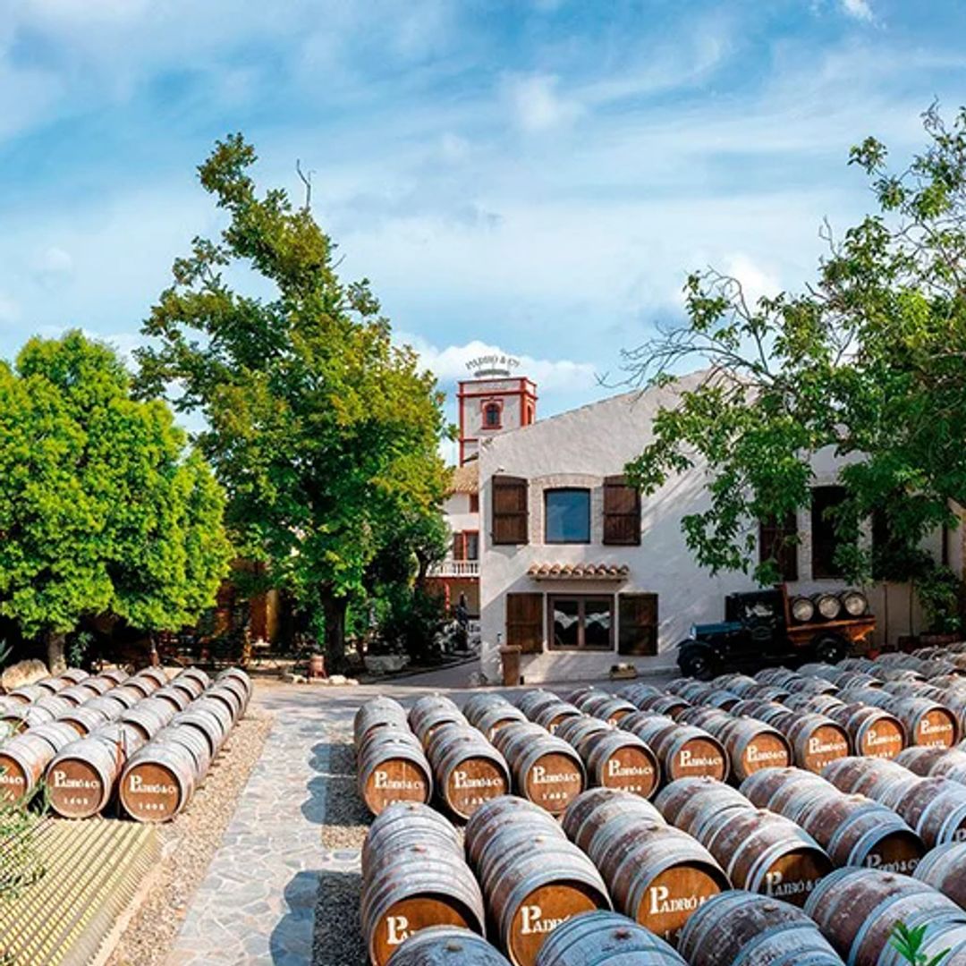 Casa Vermouth Padró