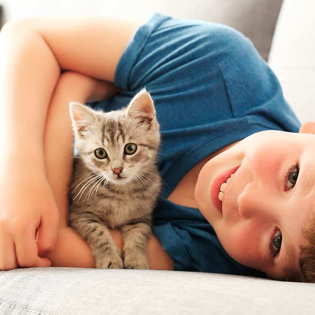 Qué tener en cuenta para la buena convivencia entre niños y gatos