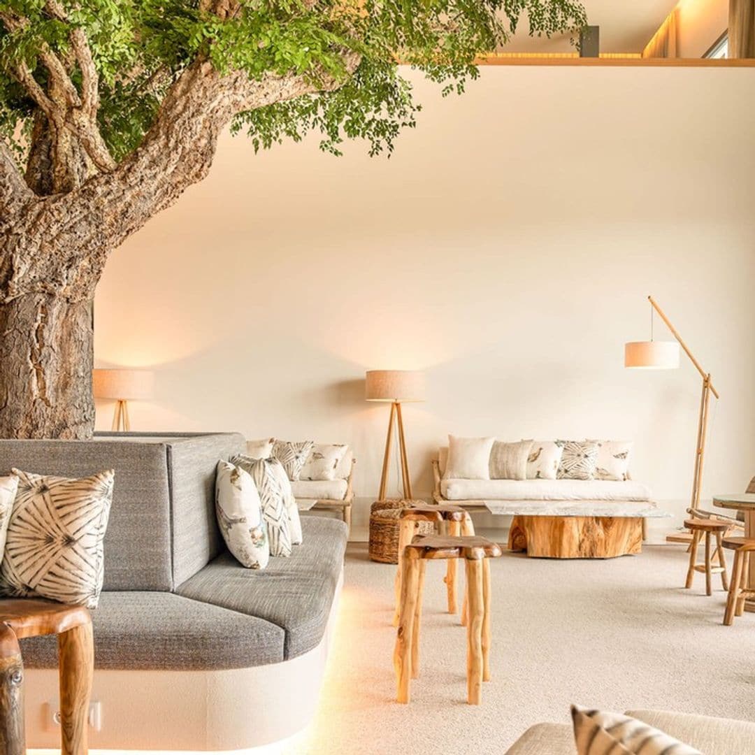 Hotel Octant Évora, Alentejo, Portugal