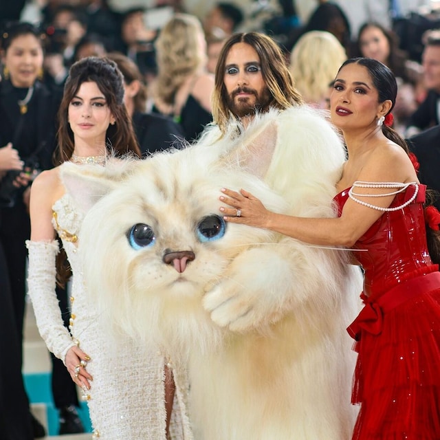 anne hathaway jared leto y salma hayek