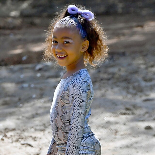 north west animal print 1t